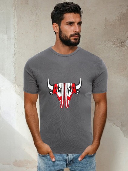 Břidlicová